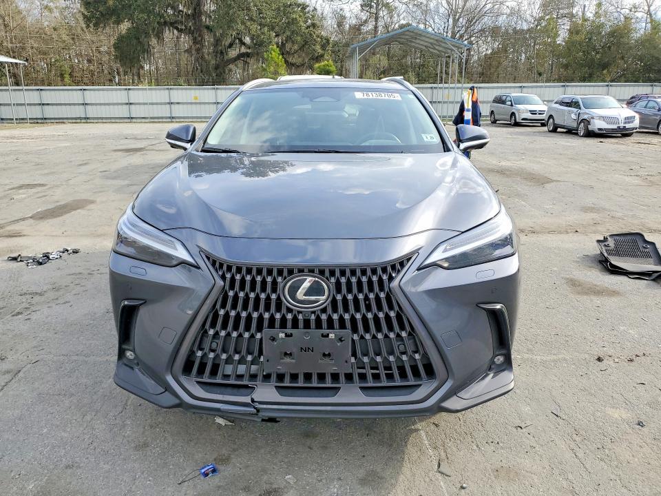 2024 Lexus Nx 450h Luxury