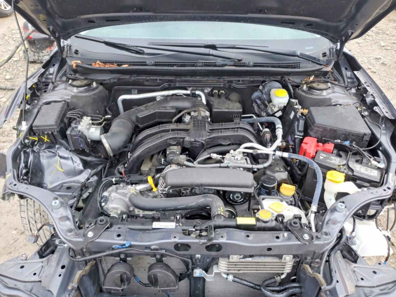 2024 Subaru Outback Premium