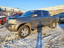 Toyota Tacoma salvage cars for sale: 2011 Toyota Tacoma Double cab