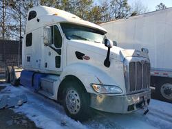 Salvage trucks for sale at Waldorf, MD auction: 2008 Peterbilt 387 Semi Truck