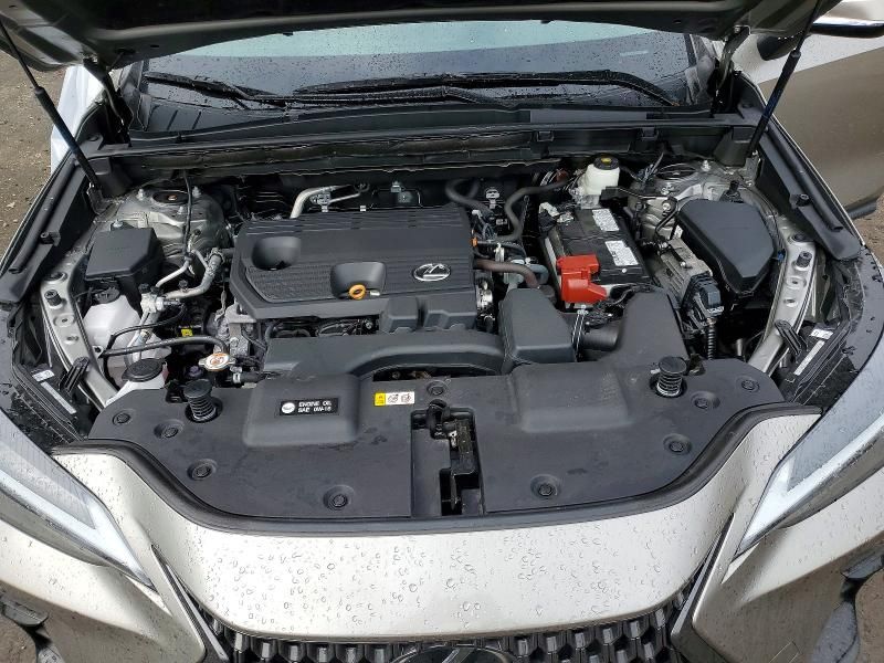 2024 Lexus Nx 250 Premium