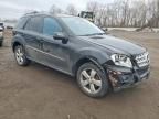 2009 Mercedes-Benz Ml 350