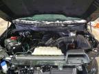 2024 Ford F150 XLT