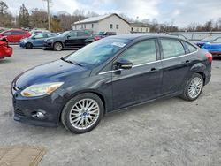 Ford Focus Vehiculos salvage en venta: 2012 Ford Focus sel