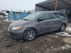 Honda salvage cars for sale: 2011 Honda Odyssey exl