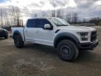 2019 Ford F150 Raptor