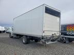 2026 International MV607 BOX Truck