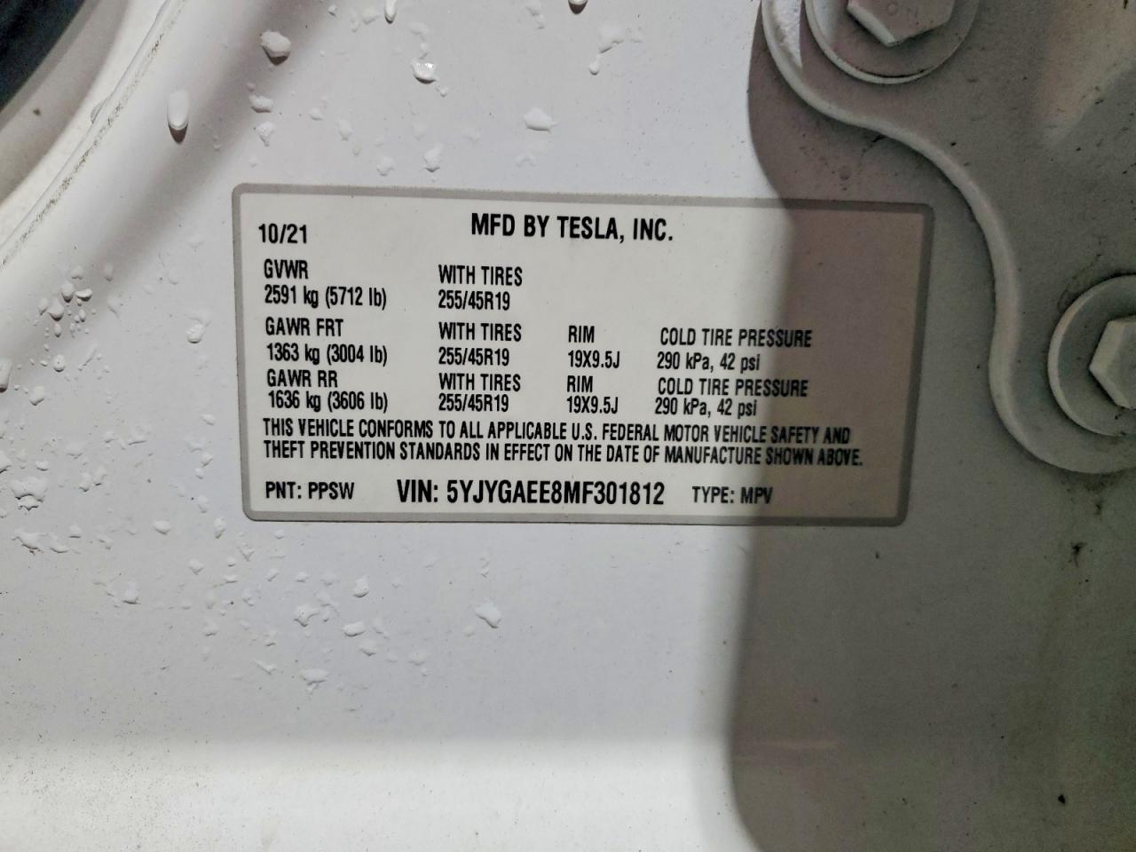 2021 Tesla Model y