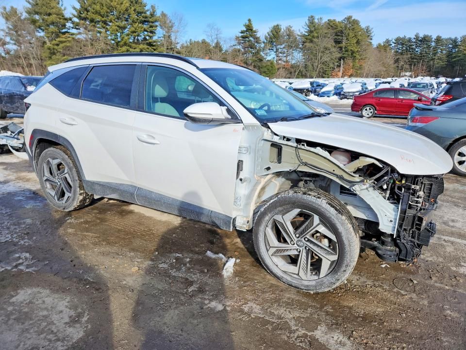 2023 Hyundai Tucson sel