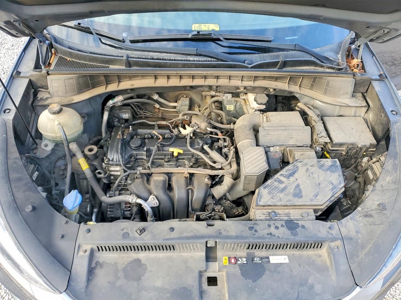 2019 Hyundai Tucson se