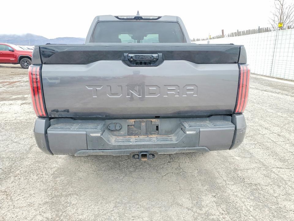 2025 Toyota Tundra Platinum