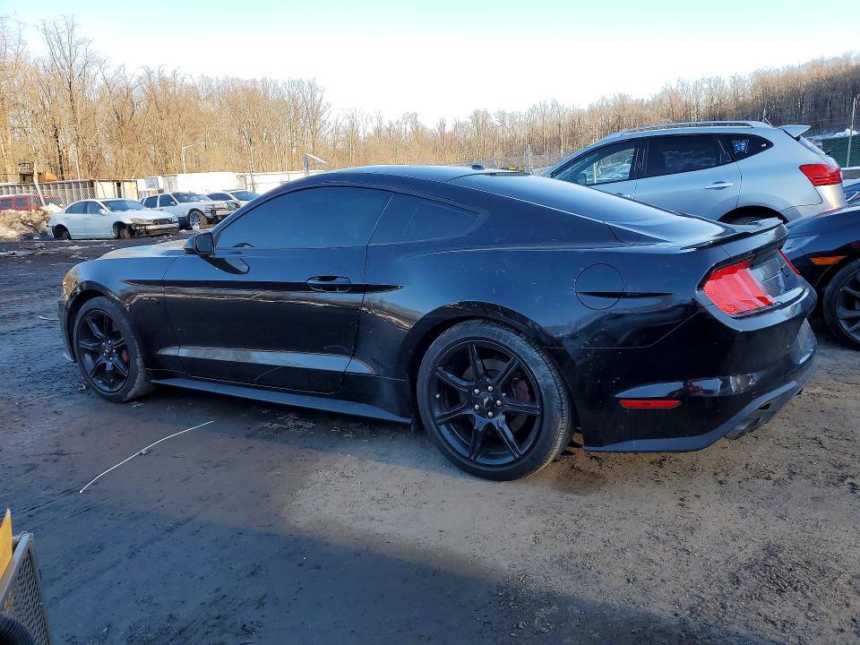 2019 Ford Mustang gt