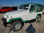 1995 Jeep Wrangler / yj s