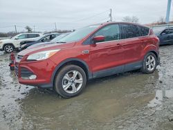 2014 Ford Escape se en venta en Windsor, NJ