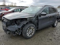 Salvage cars for sale from Copart Arlington, WA: 2020 Ford Escape SE