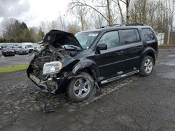 Honda Pilot salvage cars for sale: 2013 Honda Pilot Exln