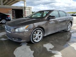 Salvage cars for sale from Copart West Palm Beach, FL: 2012 Nissan Maxima S