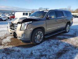 Cadillac salvage cars for sale: 2017 Cadillac Escalade ESV Platinum