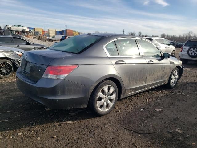 2010 Honda Accord EXL