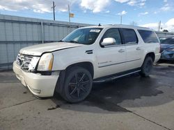 Cadillac salvage cars for sale: 2007 Cadillac Escalade ESV