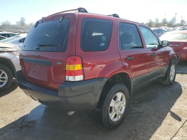 2004 Ford Escape XLT