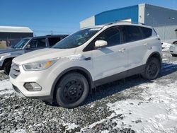 2017 Ford Escape Titanium for sale in Elmsdale, NS