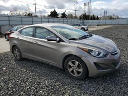 Salvage cars for sale from Copart Portland, OR: 2014 Hyundai Elantra SE