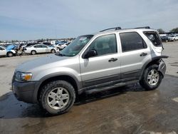 Ford Escape XLT salvage cars for sale: 2006 Ford Escape XLT