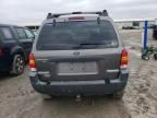 2004 Ford Escape XLT