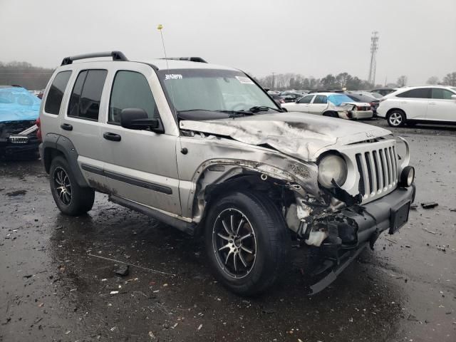 2006 Jeep Liberty Renegade