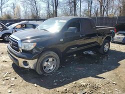 Salvage cars for sale from Copart Waldorf, MD: 2010 Toyota Tundra Double Cab SR5