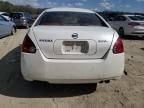 2005 Nissan Maxima SE