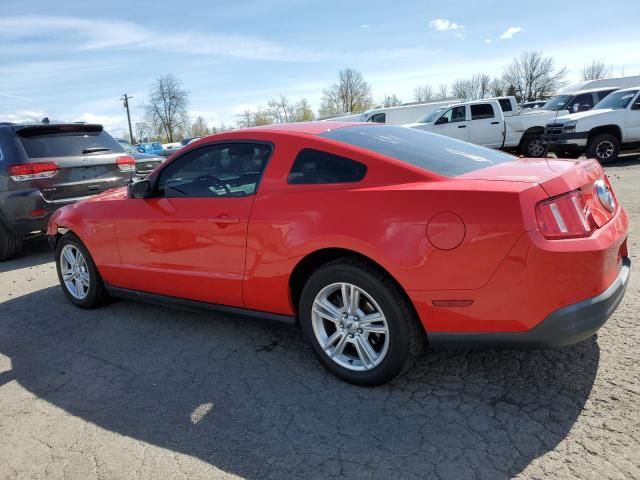 2010 Ford Mustang