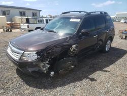 Subaru salvage cars for sale: 2013 Subaru Forester Limited