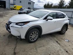 Lexus Vehiculos salvage en venta: 2017 Lexus NX 200T Base