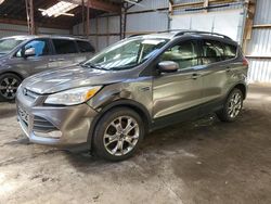 2014 Ford Escape SE en venta en Bowmanville, ON