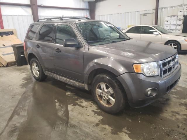 2009 Ford Escape XLT