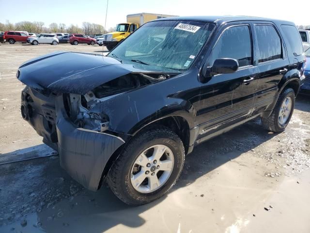 2005 Ford Escape XLT