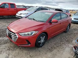 Hyundai Elantra salvage cars for sale: 2017 Hyundai Elantra SE