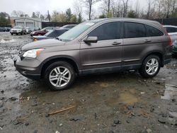 Honda CR-V EXL Vehiculos salvage en venta: 2011 Honda CR-V EXL