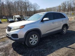 KIA Sorento salvage cars for sale: 2011 KIA Sorento Base