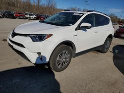 Salvage cars for sale from Copart Littleton, CO: 2017 Toyota Rav4 HV LE