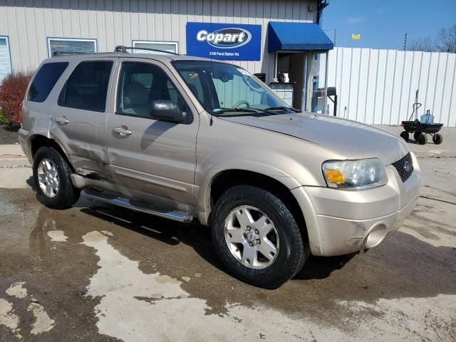 2007 Ford Escape Limited