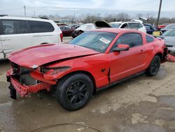 2009 Ford Mustang for sale in Louisville, KY