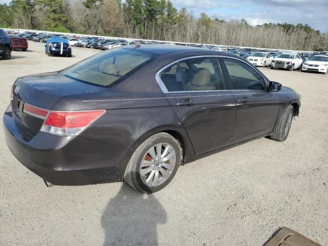 2011 Honda Accord EXL