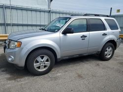 Ford Escape salvage cars for sale: 2011 Ford Escape XLT