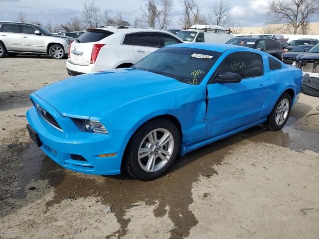 2013 Ford Mustang