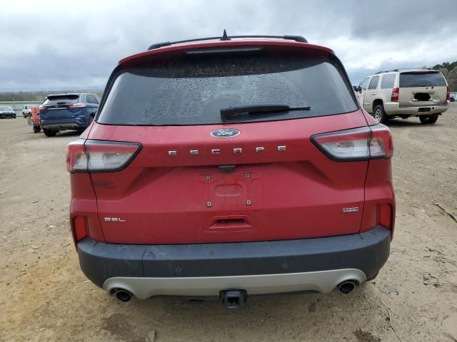 2022 Ford Escape SEL