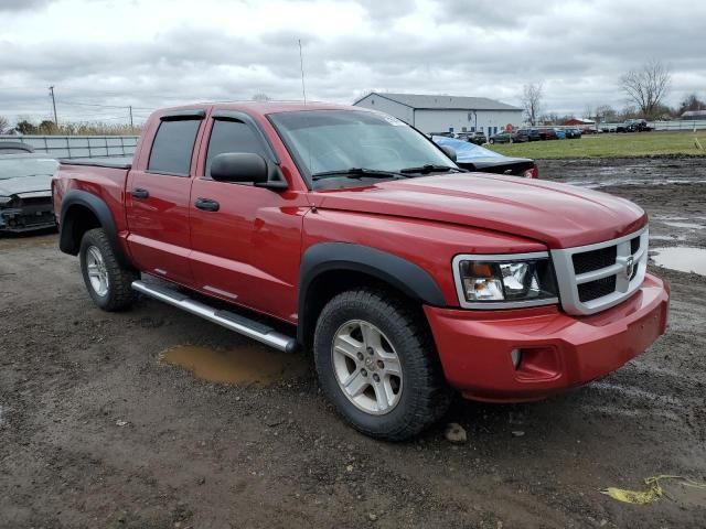 2010 Dodge Dakota SXT