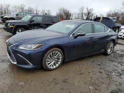 Lexus Vehiculos salvage en venta: 2019 Lexus ES 300H